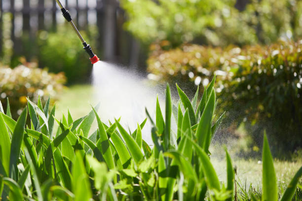 24/7 Emergency Pest Control experts in Warren, OR
